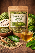 Soursop Leaves